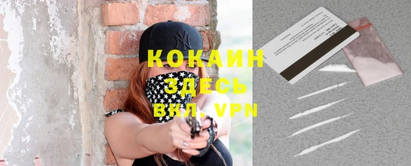 прущие грибы Абинск