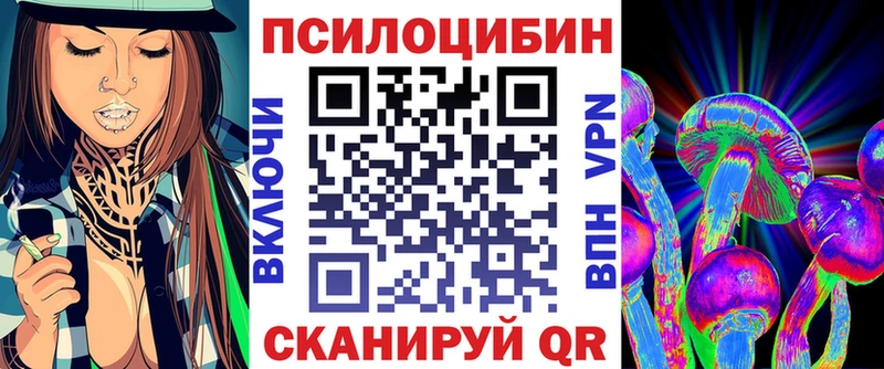 Галлюциногенные грибы Psilocybe  KRAKEN ССЫЛКА  Новоалтайск 